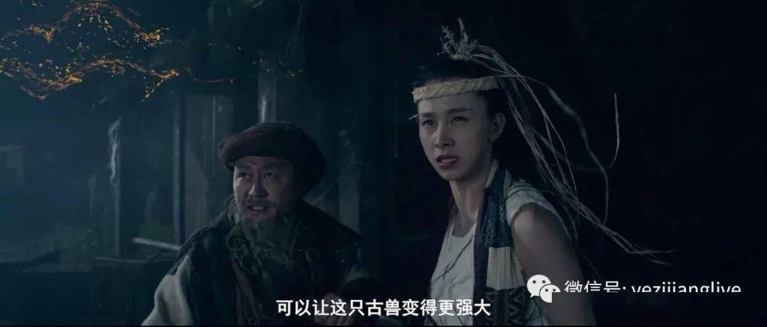 动物狂欢夜