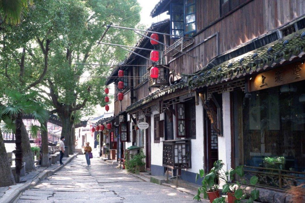 拯救枯树